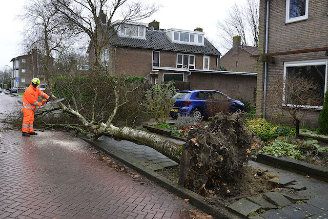 2022/23/20220131-14u08 GB 003 Sperwerstraat stormschade.jpg